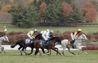 International Gold Cup Races