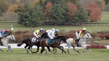 International Gold Cup Races