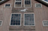 Spirit Horse Farm