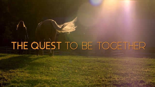 THE QUEST TO BE TOGETHER